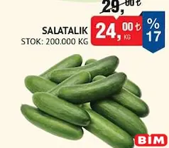 SALATALIK KG